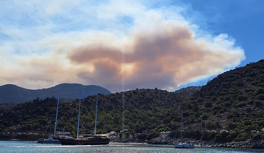 В Турции сообщили подробности о пожаре в окрестностях курорта