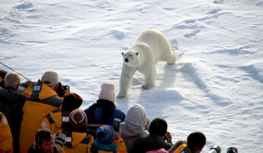 Ростуризм и Росстандарт разработали ГОСТы для арктического туризма