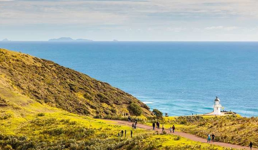 Новая Зеландия открыта для туристов: сколько стоит перелет и как добраться