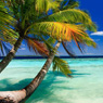 Доминикана: рай на гарантии