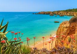 Что предложить туристу в Португалии?