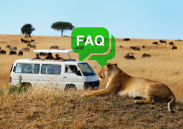 FAQ по Африке: 10 ответов на самые популярные вопросы туристов