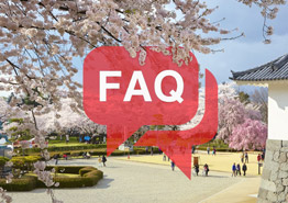 Что нужно знать, если летишь в Японию впервые?