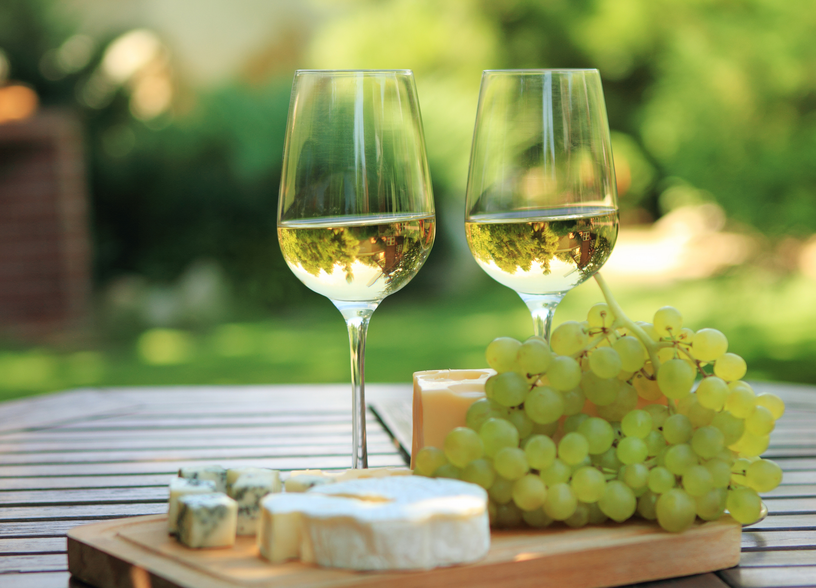 Vino. Белое вино. Бокалы для белого вина. Вино сыр виноград. Белое вино сыр виноград.