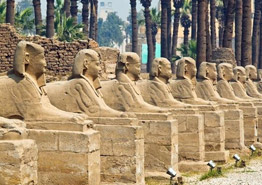 Любовь за деньги. Каких туроператоров по Египту выбирают турагенты?