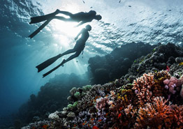 Где в Египте искать отели с коралловыми рифами
