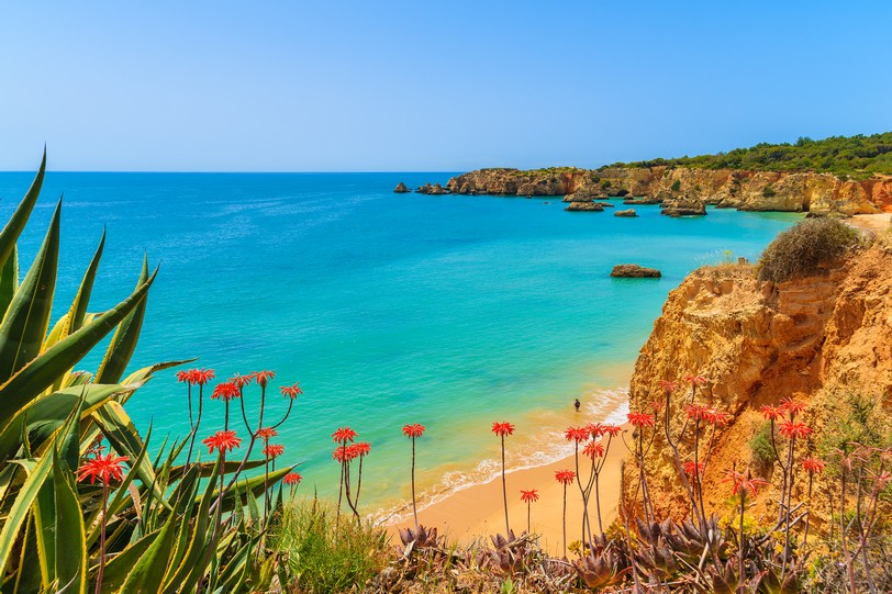 Алгарве_Tropical flowers on beautiful Praia da Rocha beach, Algarve region, Portugal shutterstock_282116426.JPG