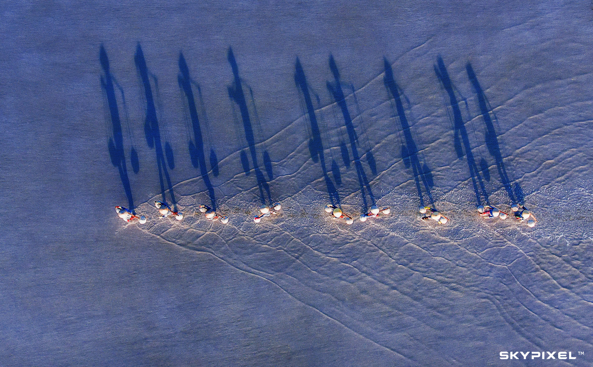 2018 SkyPixel Contest-Photo Group-Second Prize-Fun-Burden salt harvest.jpg