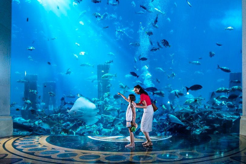 Large-DT_Family_Aquarium_AtlantisResort_1_HR.jpg