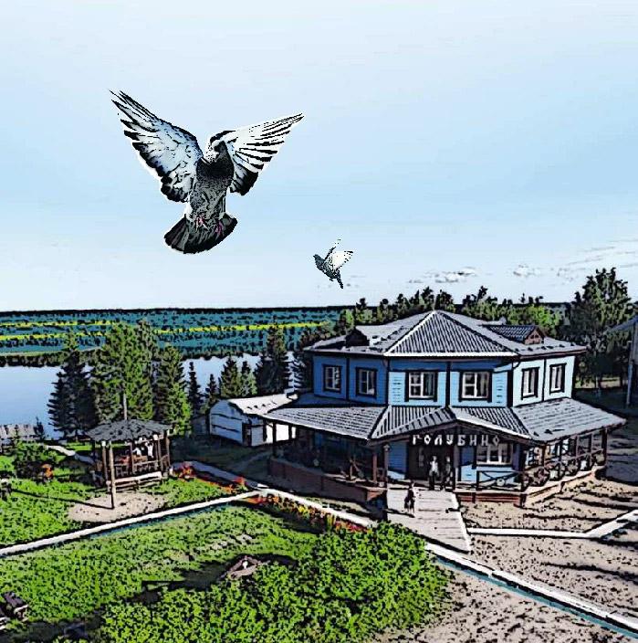 Архангельск голубино база отдыха