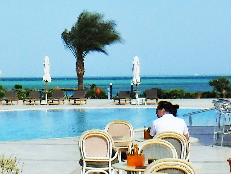 Отдых В Шармаль Шейхе На Новый Год Отдых В Шармаль Шейхе На Новый Год