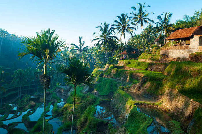 ubud_otdyh.jpg