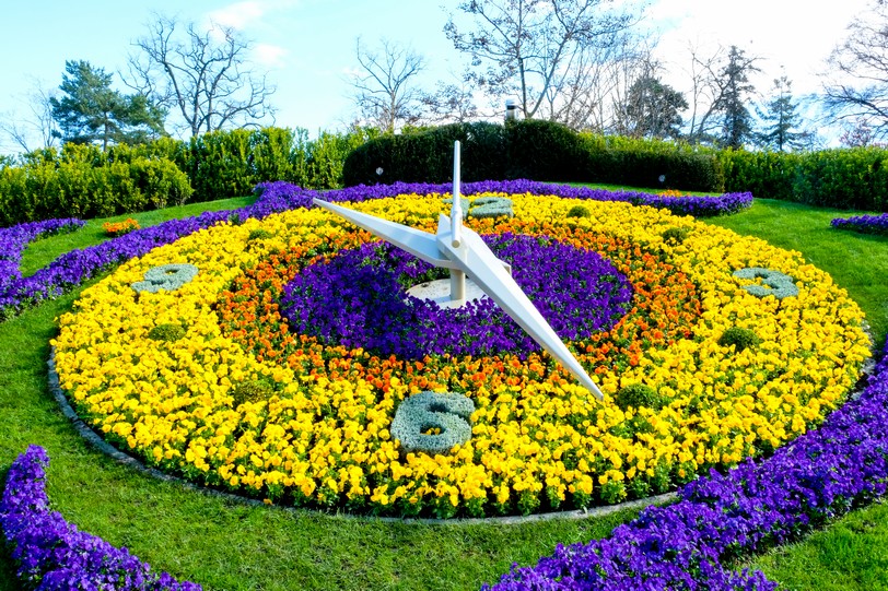 Flower Clock.JPG