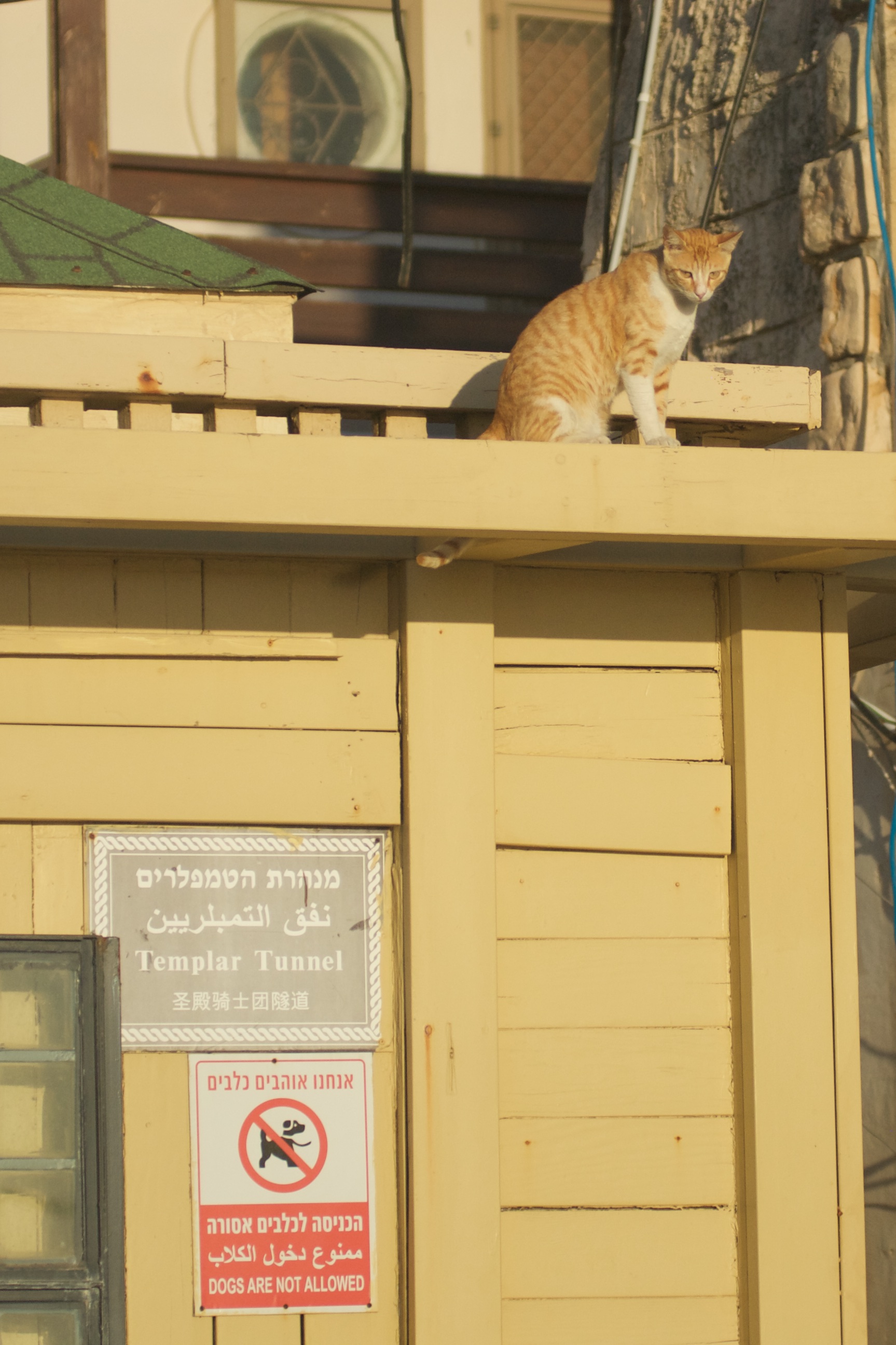 DSC_1211.jpg