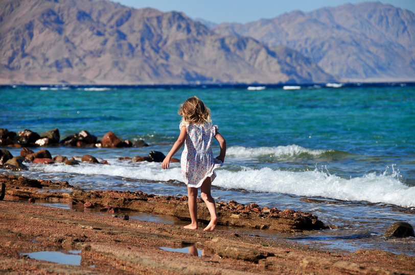 Египет Море Фото Под Водой