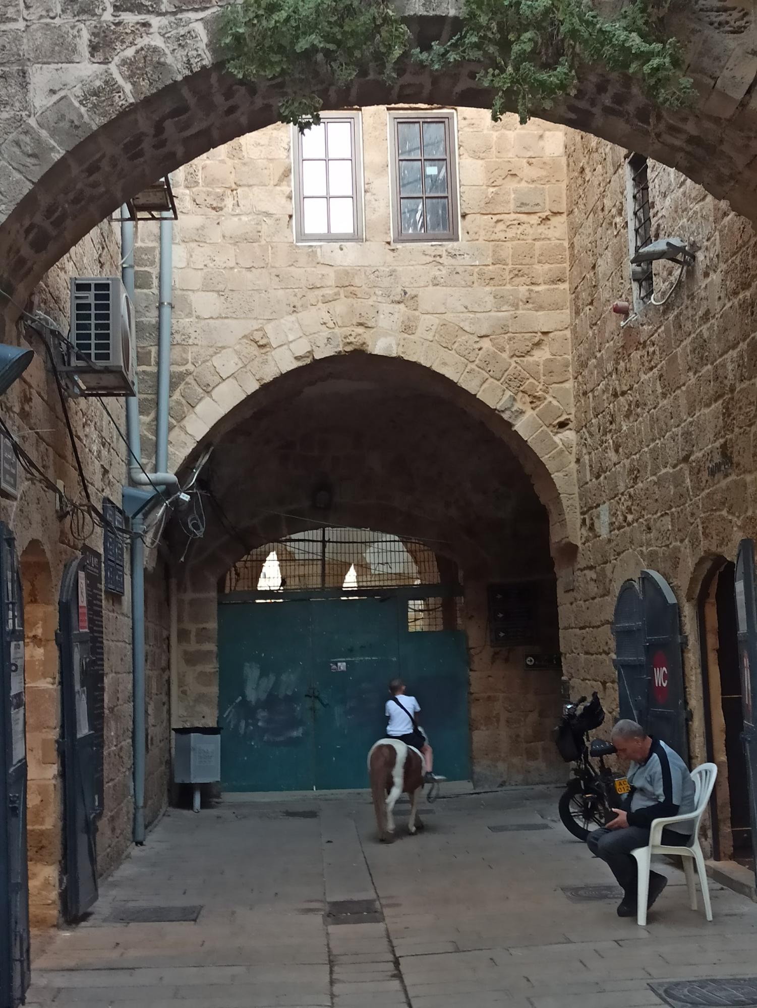 image38.jpg