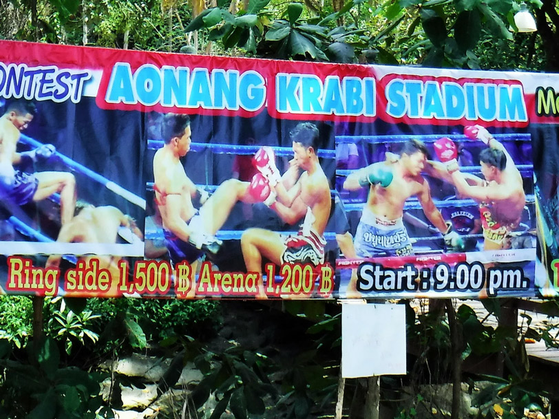 09.jpg