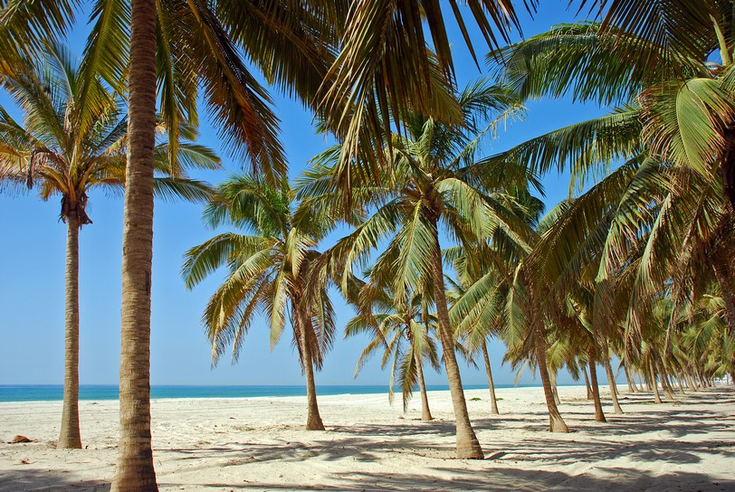 Salalah coast, Oman, Asia, Arabian Peninsula shutterstock_369303698.JPG