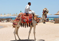 Курорты Египта ждут авиарейсов из России: готовить ли туристам чемоданы?