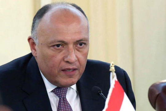 МИД Египта: «Для возобновления авиасообщения с РФ есть все предпосылки»