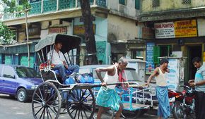 Роспотребнадзор предупредил туристов о смертоносном вирусе в Индии