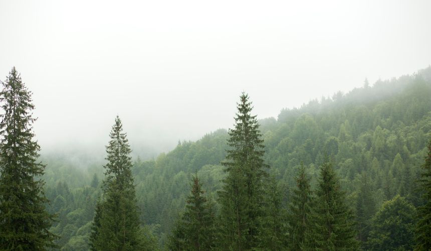 Турпоток в Валдайский нацпарк планируют увеличить до 130 тысяч человек