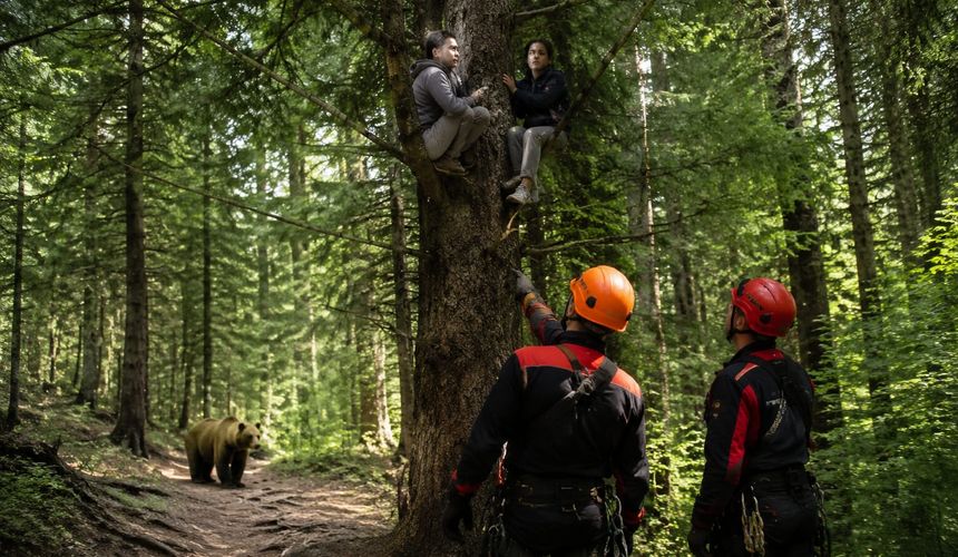 В Сочи туристам на дереве из-за медведя помогли спасатели
