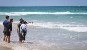 В Израиле закрывают пляжи из-за акулы