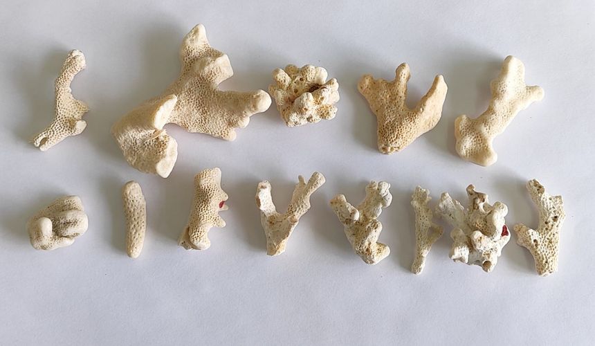 Туристка привезла из Саньи пакет кораллов и административную статью