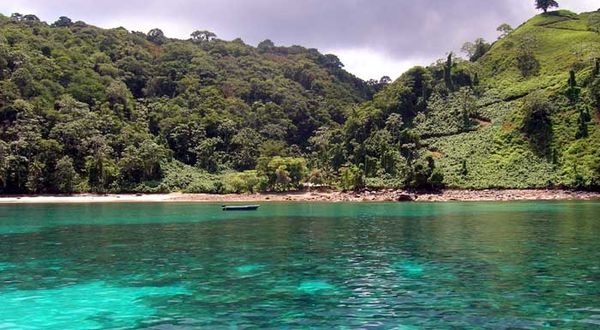 Выжить после нападения акулы дайверу помогла маска