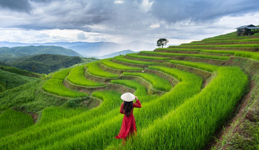 Власти Вьетнама попросили застрявших туристов продлить срок пребывания