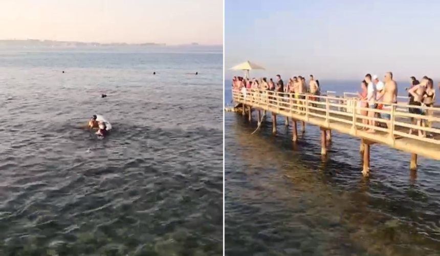 Семья туристки, погибшей от акулы в Египте, получит денежную компенсацию