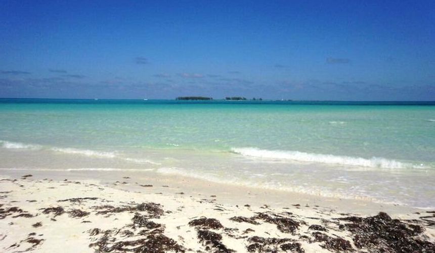 Из-за урагана «Мелисса» российских туристов на Кубе пришлось временно эвакуировать  