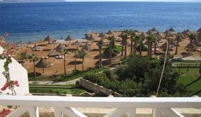 Пьяный турист угнал гольф-кар в пятизвездочном отеле в Шарм-эль-Шейхе