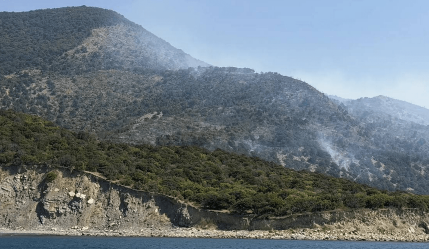 Под Анапой уже несколько суток горит заповедник Утриш