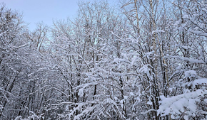 На Москву обрушится снежный шторм