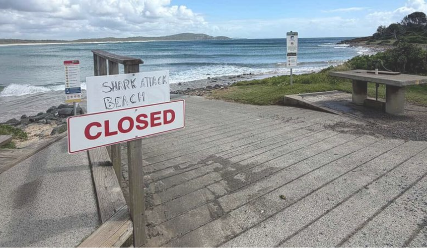 Несколько человек пострадали из-за нападения акул в Австралии, пляжи закрыты