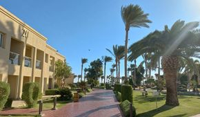 Новогодний отдых на море: куда можно улететь вдвоем за 200 тысяч рублей