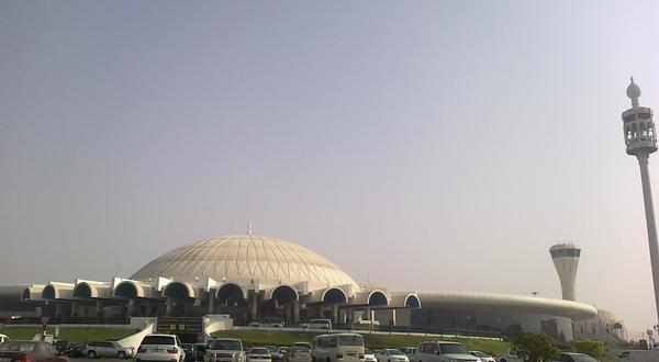 Ливни в Дубае привели к веерным задержкам рейсов из Москвы