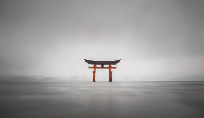 Японский регулятор не в курсе планов по возобновлению прямых рейсов в Россию