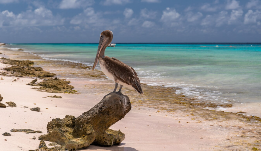 Кубинский Ольгин уже готов принимать туристов