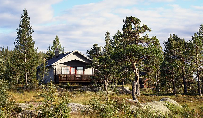  В Петербурге хотят легализовать аренду домов для туристов