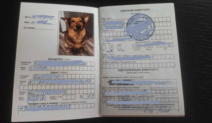 Генконсульство РФ предупредило туристов о строгих правилах путешествия по Китаю с животными