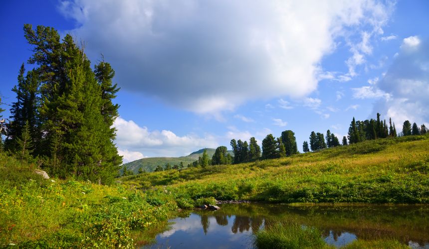 Новосибирская область представила туристическую программу летнего сезона 