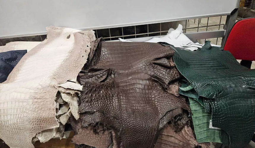 Туриста из Китая задержали в Шереметьево с 55 шкурами крокодила