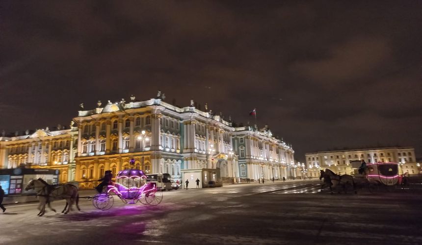 Поп-группы, фокусники и гимнасты: что предложат отели Петербурга на Новый год