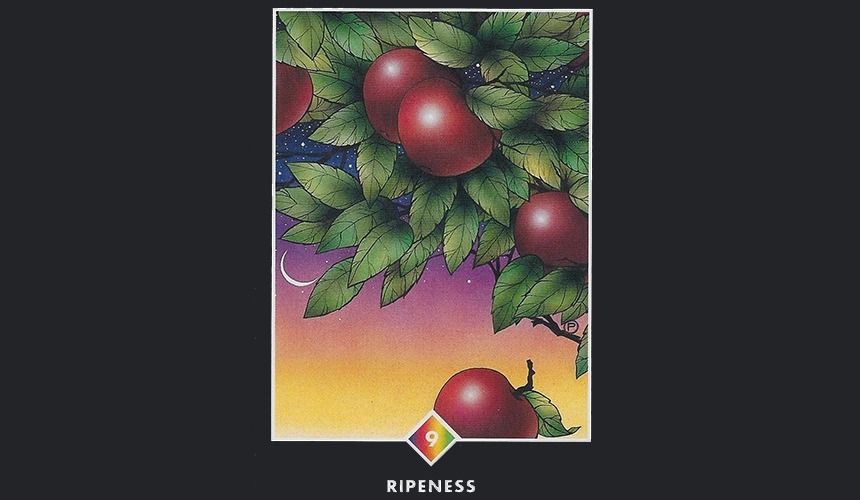 Источники утверждают, что Wildberries находится в процессе приобретения туроператора Fun&Sun