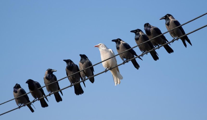 В список крупнейших компаний России по выручке вошел только один туроператор 