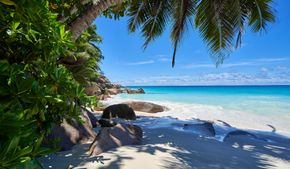 Туристам в последний момент предложили слетать на Сейшелы на Новый год за 60 тысяч рублей 