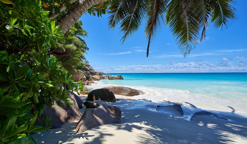 Туристам в последний момент предложили слетать на Сейшелы на Новый год за 60 тысяч рублей 